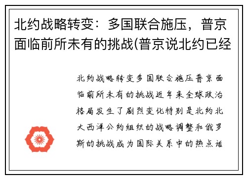 北约战略转变：多国联合施压，普京面临前所未有的挑战(普京说北约已经没有存在的必要了)